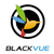 Blackvue